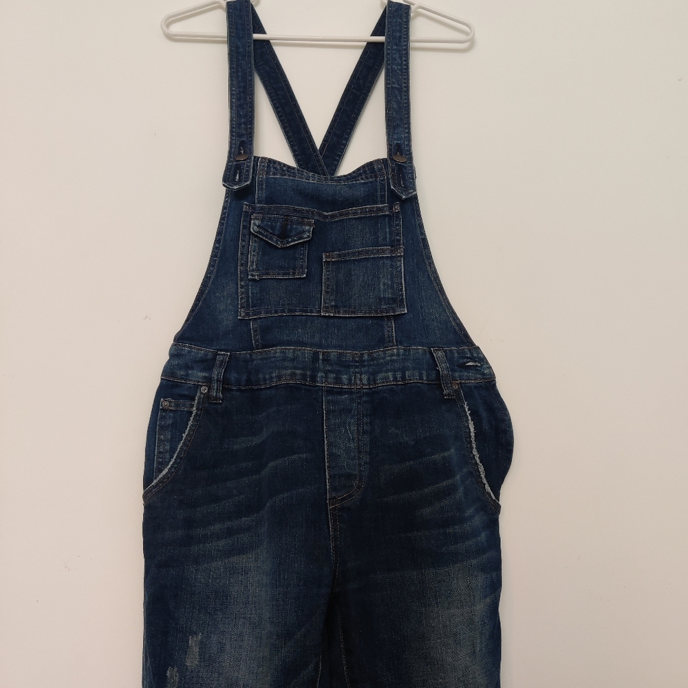 Free People denim overalls